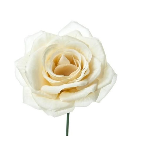 PICK ROSA DIAMOND CHAMPAGNE